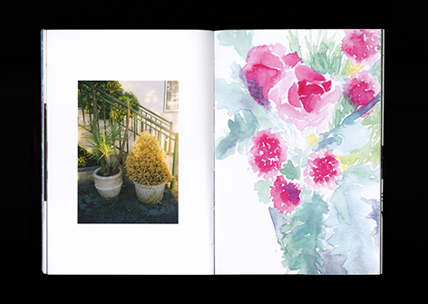 page avec photo à l'argentique et dessin à l'aquarelle de plante et fleurs