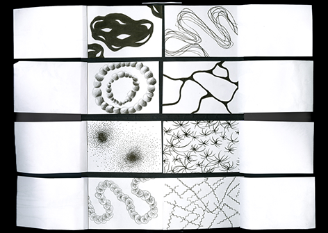 intérieur de l'édition 2 et des images de fleurs avec le visuel d'une métadonnée